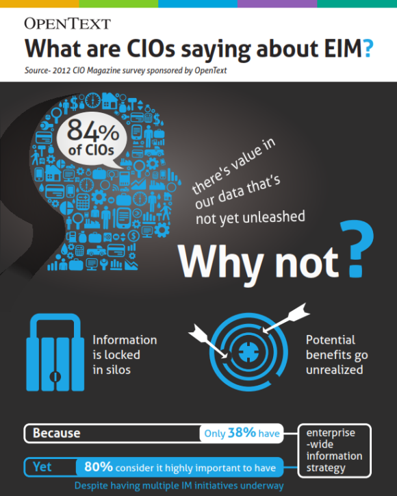 ¿Qué dicen los CIOs sobre la Enterprise Information Management (EIM)?